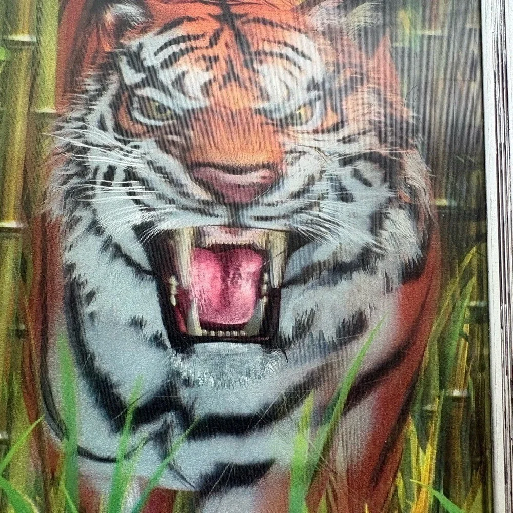 Tiger LockBox Storage Case Trading Cards Collectibles 3D
